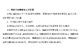 员工个人借款催收函模板：高效解决欠款难题